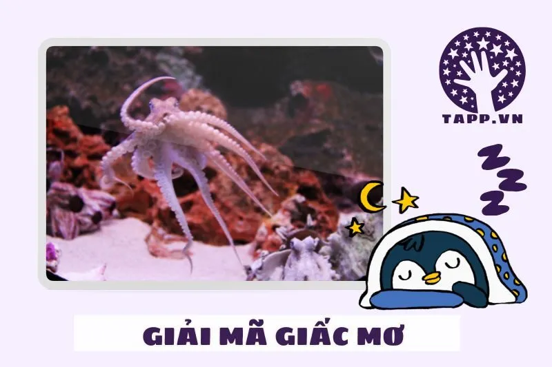 Giải mã các trường hợp cụ thể của giấc mơ thấy bạch tuộc