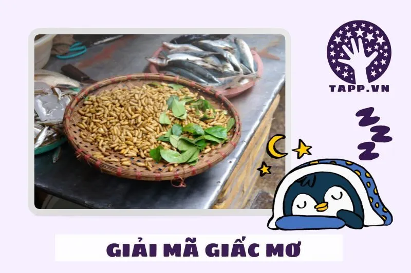 Giải Mã Chi Tiết Các Tình Huống Trong Giấc Mơ Thấy Dòi