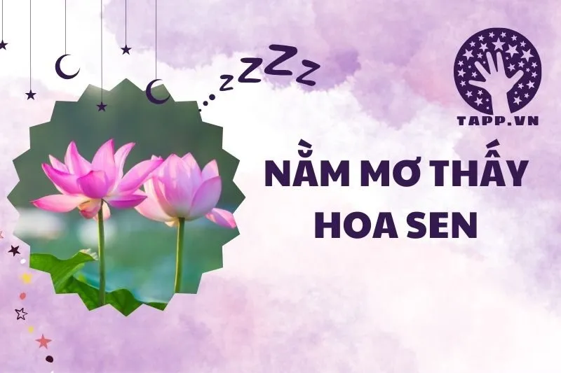 Giải Mã Điềm Báo Khi Nằm Mơ Thấy Hoa Sen: Ý Nghĩa Và Bí Ẩn 2025