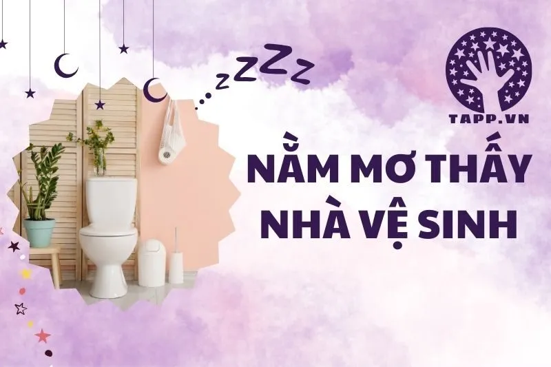 Giải Mã Giấc Mơ Nằm Mơ Thấy Nhà Vệ Sinh: Điềm Báo, Ý Nghĩa và Tài Lộc 2025
