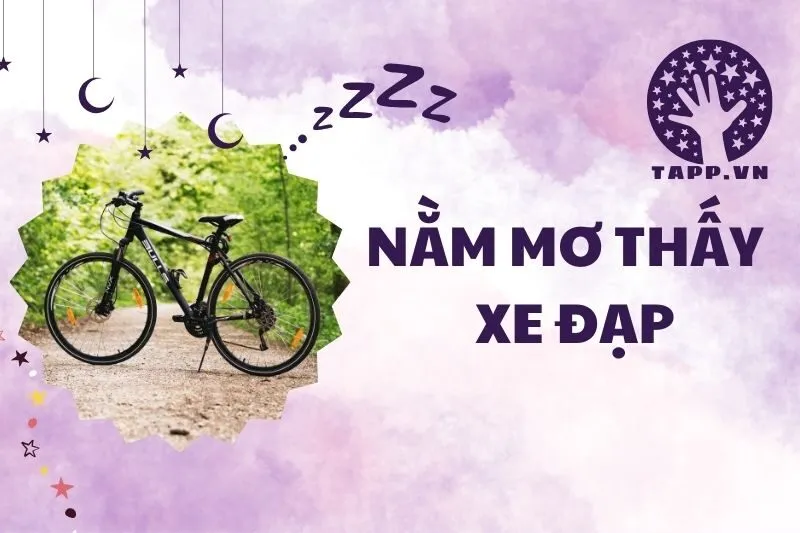 Giải Mã Giấc Mơ Nằm Mơ Thấy Xe Đạp: Ý Nghĩa Và Điềm Báo Tương Lai 2025