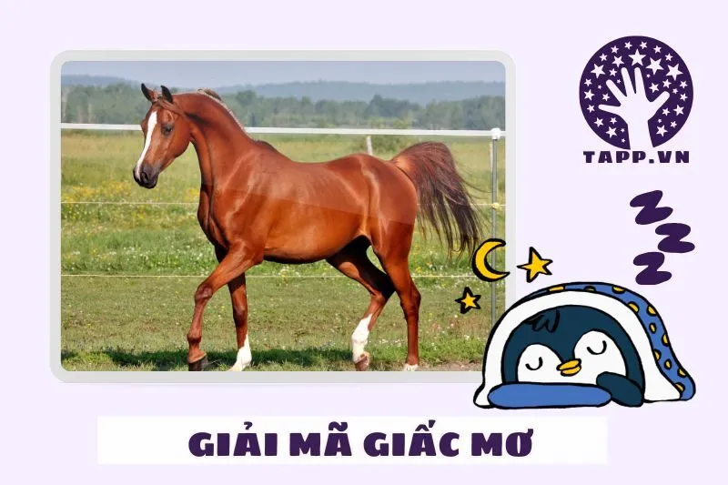 Giải Mã Giấc Mơ Thấy Ngựa Theo Tình Huống