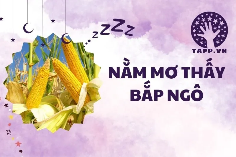 Giải mã nằm mơ thấy bắp ngô: Điềm báo và ý nghĩa thú vị 2025