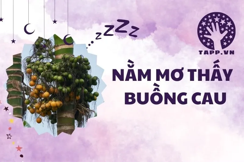 Giải Mã Nằm Mơ Thấy Buồng Cau: Điềm Báo Tình Yêu và May Mắn 2025