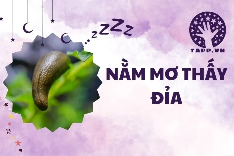 Giải Mã Nằm Mơ Thấy Đỉa 2025: Điềm Báo Gì Cho Cuộc Sống?