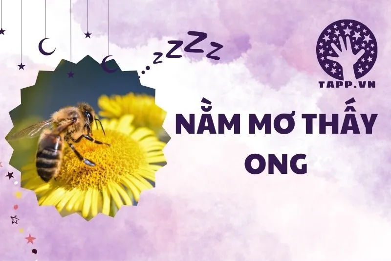 Giải Mã Nằm Mơ Thấy Ong: Ý Nghĩa Tâm Linh và Con Số May Mắn 2025