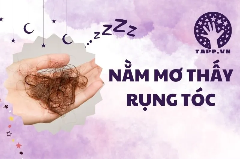 Giải Mã Nằm Mơ Thấy Rụng Tóc: Điềm Báo Sức Khỏe và Tình Cảm 2025