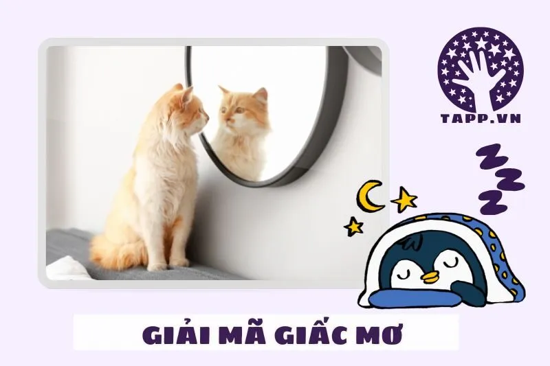Giải mã từng loại giấc mơ thấy gương