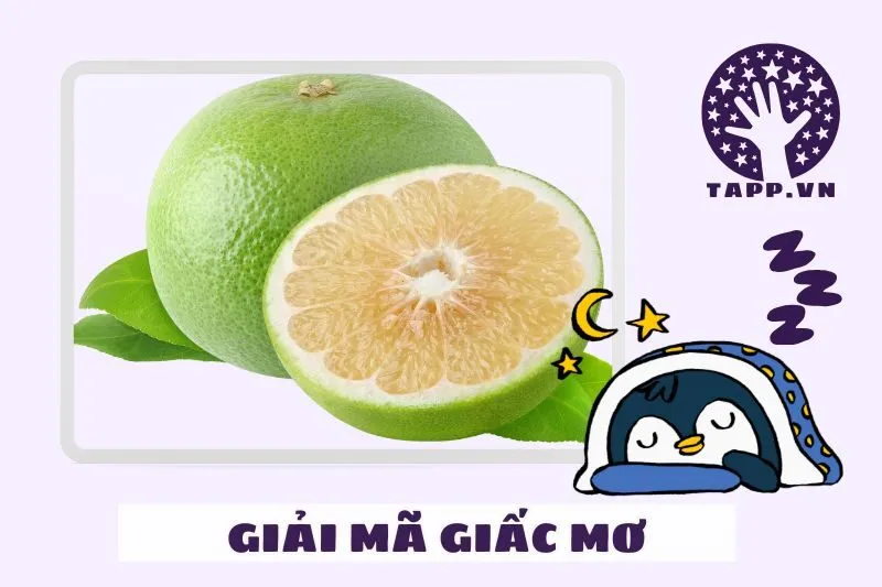 Giải Mã Từng Trường Hợp Cụ Thể Khi Mơ Thấy Quả Bưởi