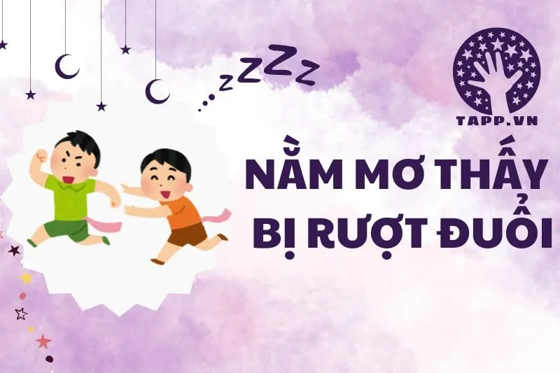 Giải Mã Ý Nghĩa Chi Tiết Khi Nằm Mơ Thấy Bị Rượt Đuổi 2025