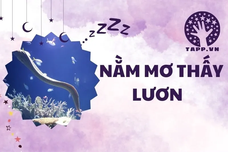 Giải mã ý nghĩa nằm mơ thấy lươn: Điềm lành hay dữ? 2025