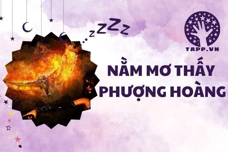 Giải mã ý nghĩa nằm mơ thấy phượng hoàng và điềm báo thú vị 2025