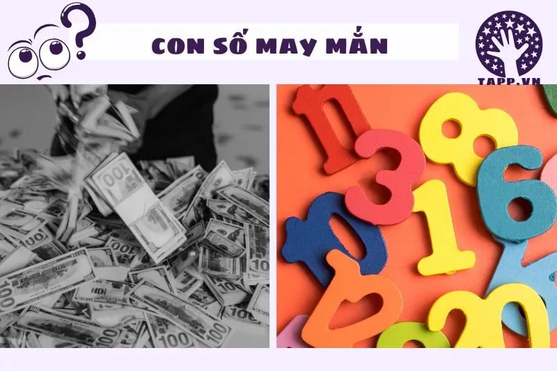 Hướng dẫn giải mã giấc mơ liên quan đến tiền theo con số