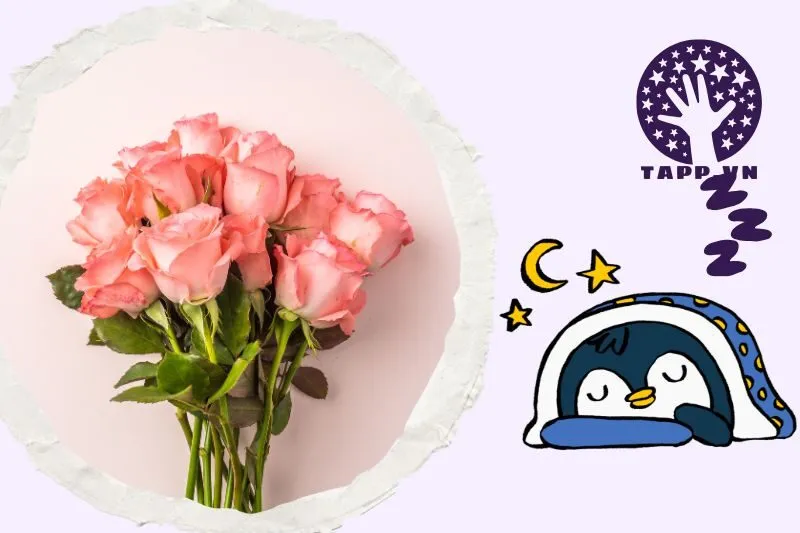 Màu sắc hoa hồng và điềm báo tương ứng