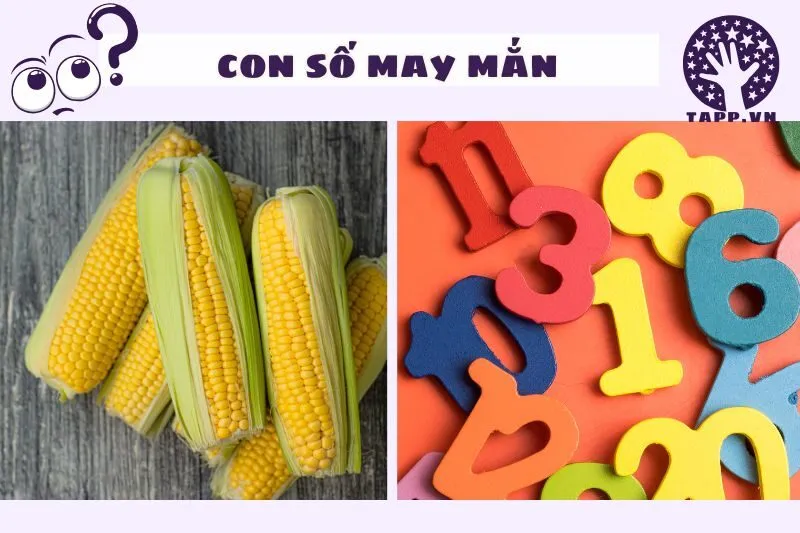 Mơ thấy bắp ngô và các dự báo liên quan đến con số may mắn