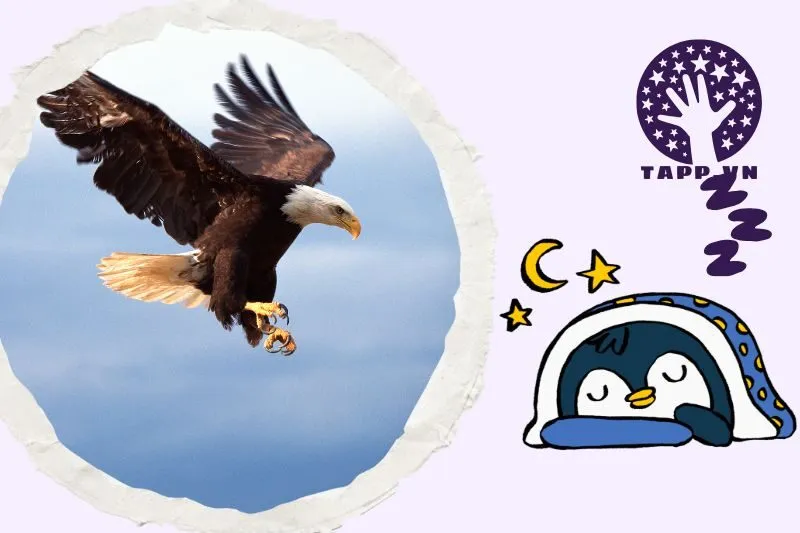 Mơ Thấy Chim Đại Bàng Có Ý Nghĩa Gì?
