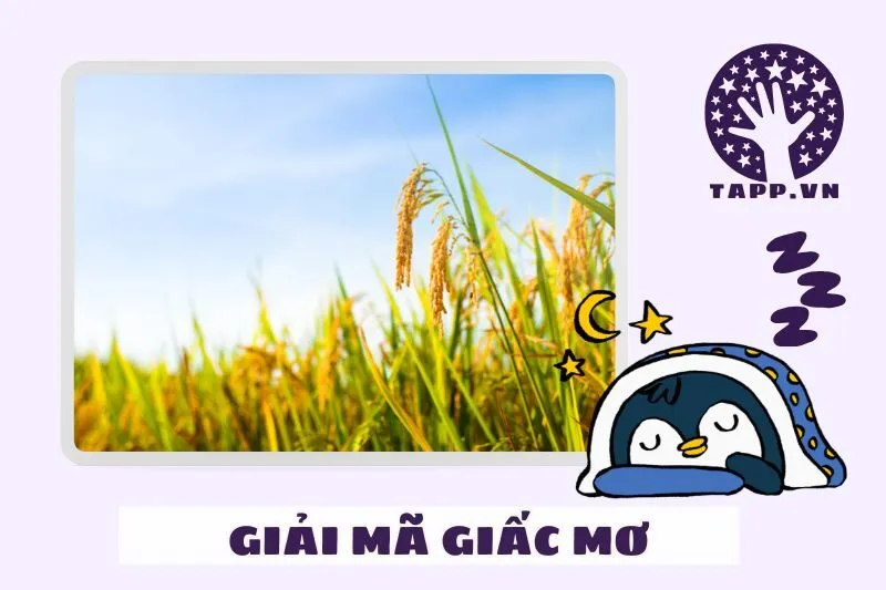 Mơ Thấy Lúa Bị Sâu Ăn - Cảnh Báo Về Sự Mất Mát Và Rủi Ro