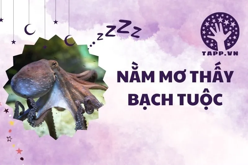 Nằm mơ thấy bạch tuộc: Ý nghĩa, con số may mắn và giải mã chi tiết 2025