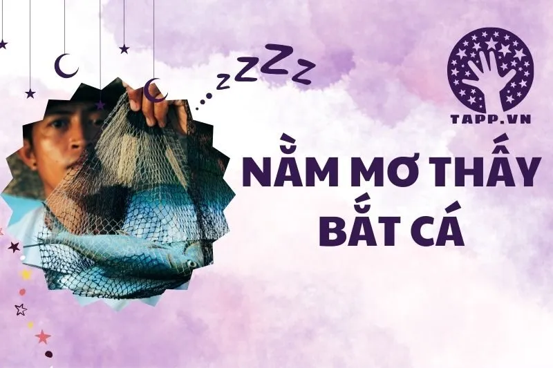 Nằm mơ thấy bắt cá: Giải mã ý nghĩa và điềm báo chi tiết 2025