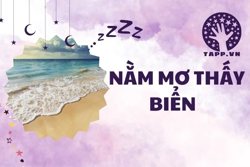 Nằm Mơ Thấy Biển: Giải Mã Ý Nghĩa Và Điềm Báo Trong Giấc Mơ 2025