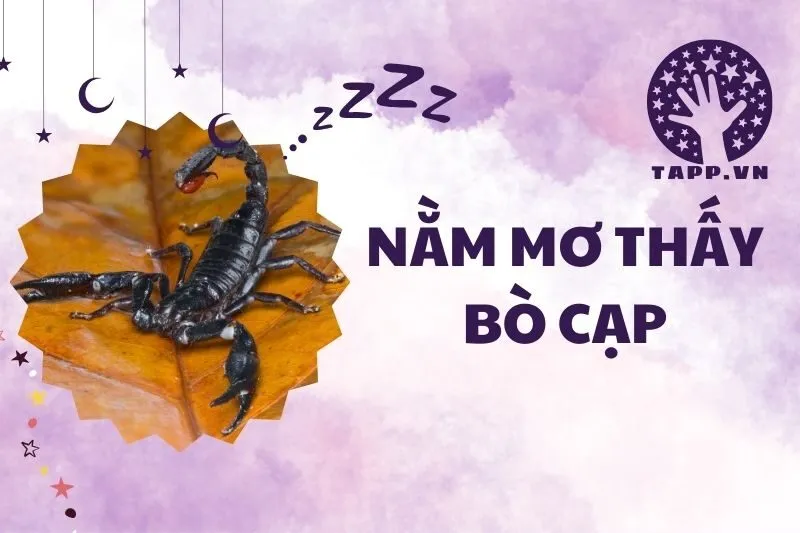 Nằm Mơ Thấy Bò Cạp: Giải Mã Ý Nghĩa Và Điềm Báo Từ Giấc Mơ 2025