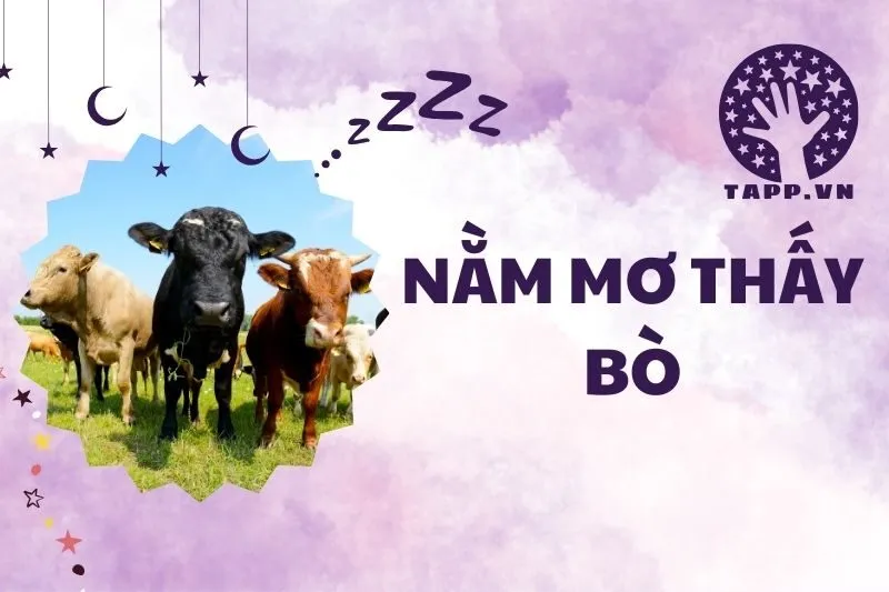 Nằm mơ thấy bò có ý nghĩa gì? Giải mã chi tiết các điềm báo 2025