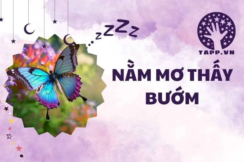 Nằm Mơ Thấy Bướm: Ý Nghĩa Và Các Điềm Báo Quan Trọng 2025