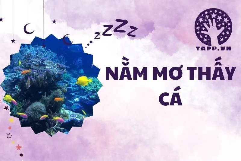 Nằm mơ thấy cá có ý nghĩa gì? Giải mã giấc mơ thấy cá chi tiết 2025