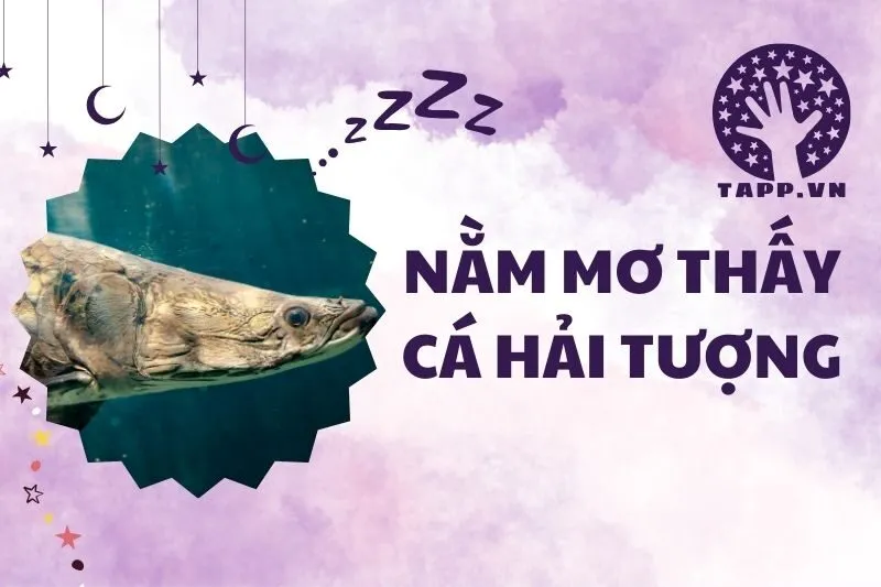 Nằm Mơ Thấy Cá Hải Tượng: Ý Nghĩa Và Điềm Báo Quan Trọng 2025