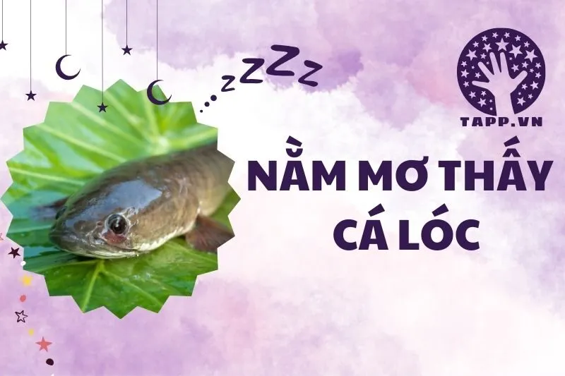 Nằm Mơ Thấy Cá Lóc: Giải Mã Điềm Báo May Mắn và Thành Công 2025