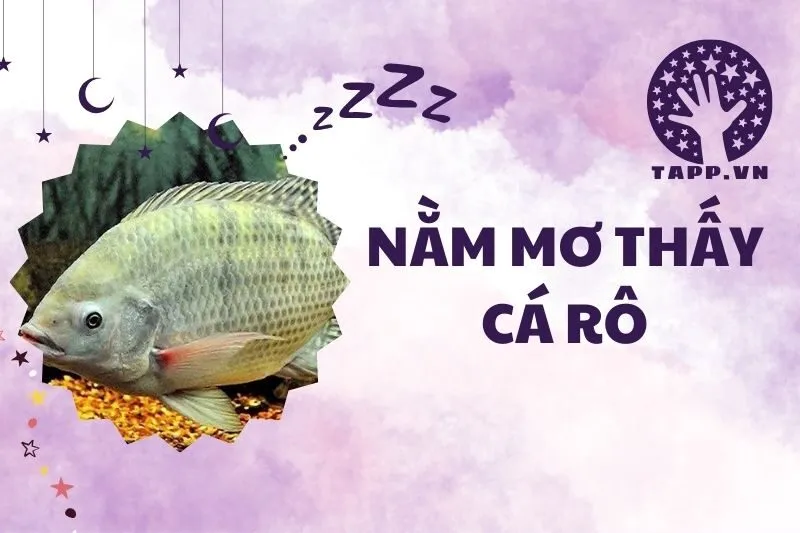 Nằm mơ thấy cá rô: Giải mã ý nghĩa và điềm báo chi tiết 2025