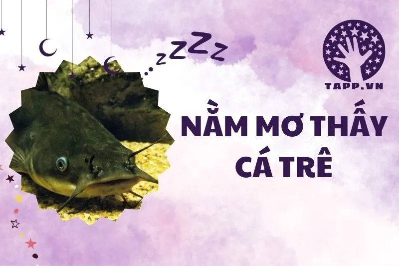 Nằm mơ thấy cá trê: Giải mã chi tiết ý nghĩa và điềm báo 2025