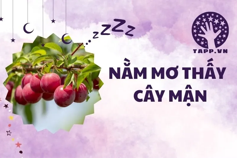 Nằm mơ thấy cây mận: Điềm báo, ý nghĩa và cách hiểu sâu sắc 2025