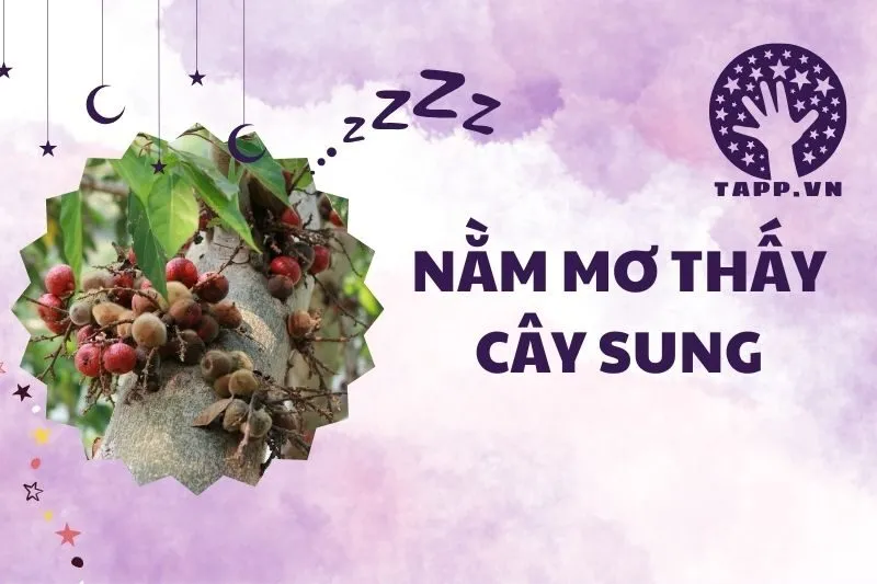 Nằm Mơ Thấy Cây Sung: Ý Nghĩa Và Dự Báo Từ Giấc Mơ 2025