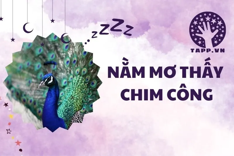 Nằm Mơ Thấy Chim Công: Giải Mã Ý Nghĩa Và Điềm Báo Từ Giấc Mơ 2025