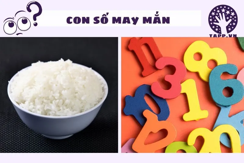 Nằm mơ thấy cơm trắng liên quan đến những con số may mắn nào?