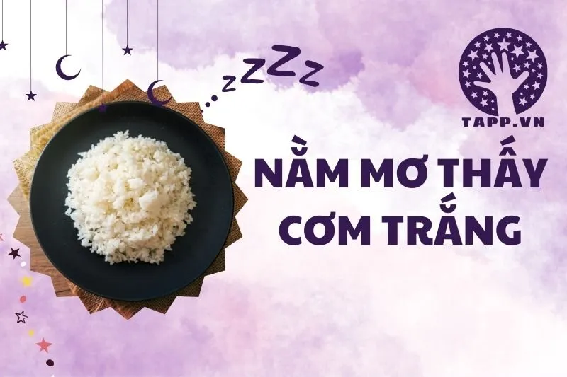 Nằm mơ thấy cơm trắng: Ý nghĩa tâm linh và điềm báo chi tiết 2025