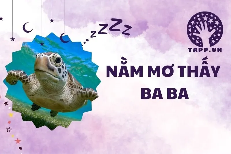Nằm Mơ Thấy Con Ba Ba: Giải Mã Ý Nghĩa và Điềm Báo 2025