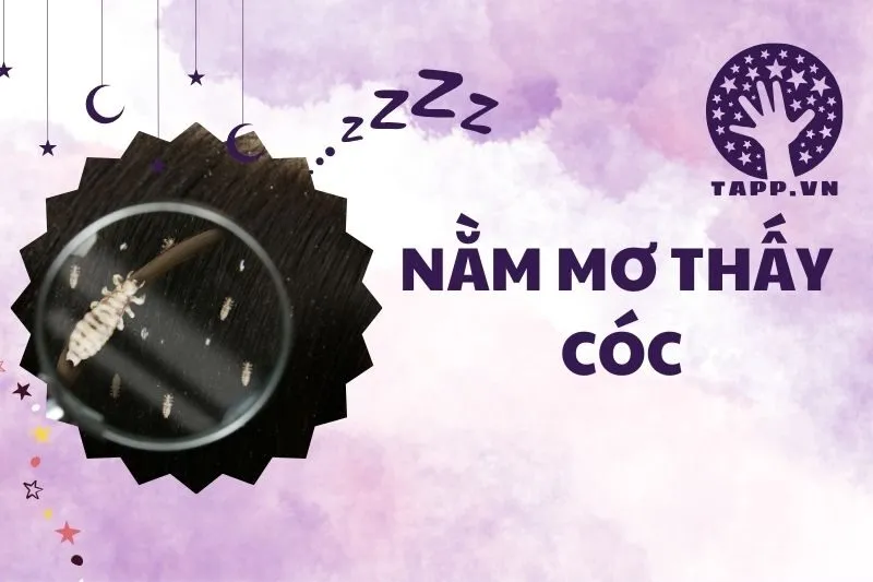 Nằm mơ thấy con chấy: Điềm báo tốt hay xấu và ý nghĩa chi tiết 2025