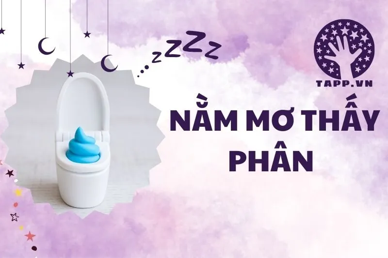 Nằm mơ thấy cứt: Giải mã ý nghĩa và điềm báo trong giấc mơ 2025