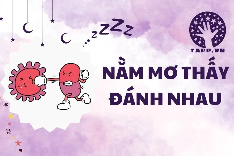 Nằm Mơ Thấy Đánh Nhau: Điềm Báo Tốt Hay Xấu? Giải Mã Chi Tiết 2025