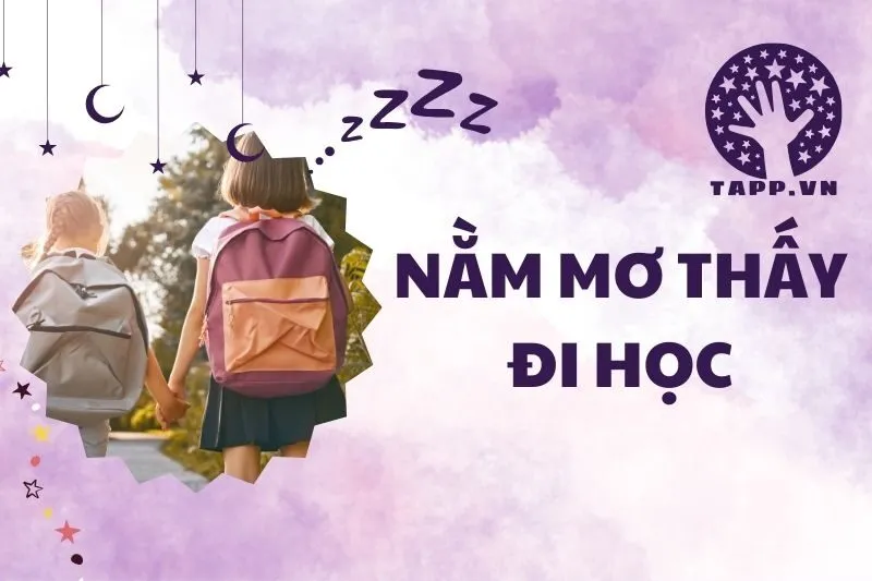 Nằm mơ thấy đi học: Ý nghĩa và thông điệp từ giấc mơ 2025