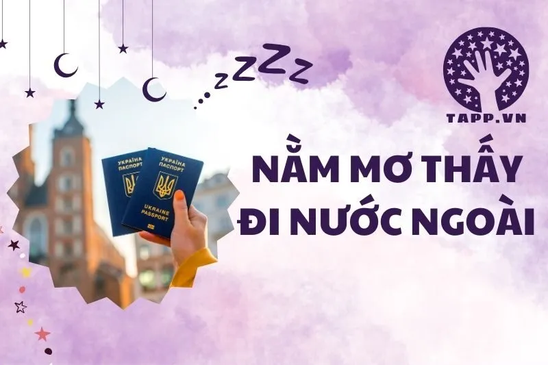 Nằm Mơ Thấy Đi Nước Ngoài: Ý Nghĩa Và Các Loại Giấc Mơ Thường Gặp 2025
