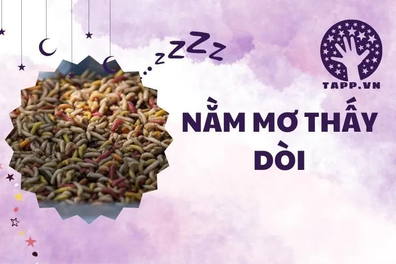 Nằm Mơ Thấy Dòi: Giải Mã Ý Nghĩa và Điềm Báo Trong Giấc Mơ 2025