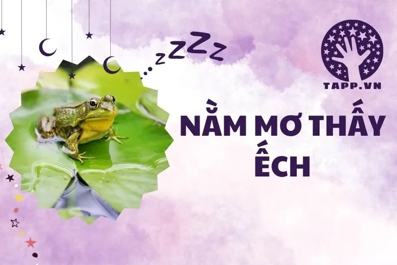 Nằm mơ thấy ếch: Ý nghĩa và điềm báo trong giấc mơ 2025
