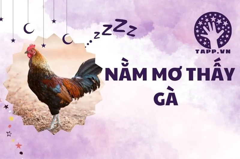 Nằm mơ thấy gà: Giải mã ý nghĩa và con số may mắn 2025