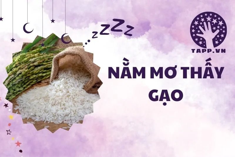 Nằm mơ thấy gạo: Ý nghĩa, tài lộc và sức khỏe 2025