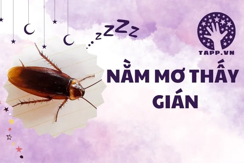 Nằm Mơ Thấy Gián: Điềm Báo Và Ý Nghĩa Tâm Linh 2025