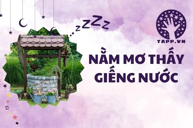 Nằm Mơ Thấy Giếng Nước: Ý Nghĩa Tâm Linh Và Điềm Báo 2025