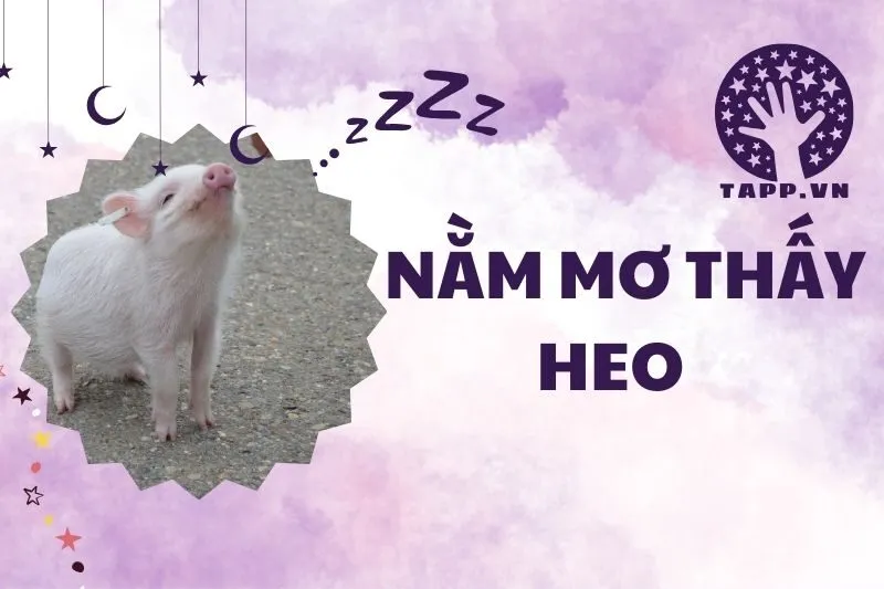 Nằm mơ thấy heo: Điềm báo gì? Ý nghĩa và giải mã chi tiết 2025